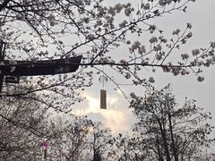 -堤角公园