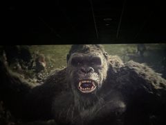 -汇金缪斯影城(八佰伴店)