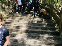 -普陀山风景区-佛顶山