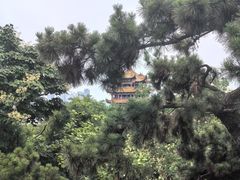 -黄鹤楼