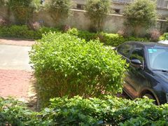 -北海金海湾红树林生态旅游区