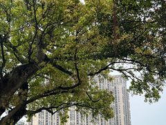 -龙环葡韵住宅式博物馆