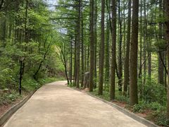 -洛阳白云山景区