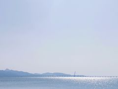 -深圳湾公园(南山区)