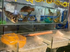 -龚记海鲜20年老字号