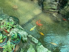 -利群海琴购物广场(商丘路店)