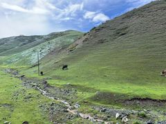 -新疆国际大巴扎
