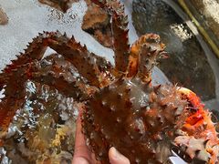 -79号渔船海鲜饭店(宝安店)