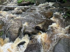 -汤旺河林海奇石景区