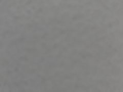 -潮信鱼头王(西环店)