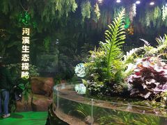 -海合安成都极地海洋公园