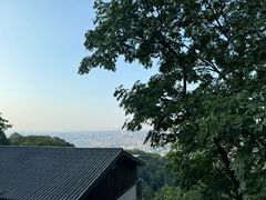 -灵隐飞来峰景区