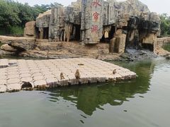 -东莞香市动物园