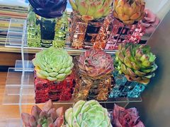 -街角 T·COFFEE 融合料理·BISTRO(车公庙店)