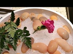 -二荆条·蜀鲜汇城市森林火锅