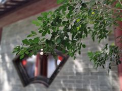 景观位-东江渔村·古典园林·30年粤菜老字号(太和店)