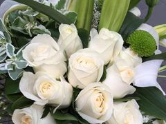 -静岸花卉园艺(三星坊店)