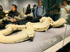 纪念品-陕西历史博物馆