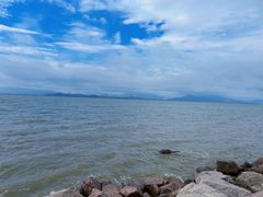 -深圳湾公园(南山区)