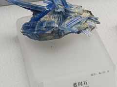 -湖南省地质博物馆