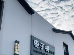 门面-枣子树·素食餐厅(普陀山店)