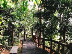 -铁山坪森林公园