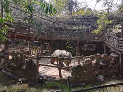 -长鹿旅游休博园