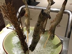-陌生人火锅餐厅(阳曲路店)