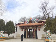 -罗布林卡