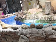 -正佳雨林生态植物园