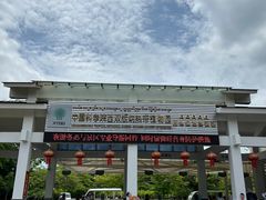 -中国科学院西双版纳热带植物园