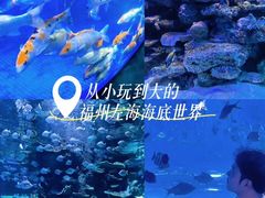 -左海海底世界