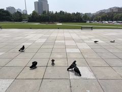 -大连人民广场
