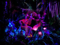 -奥兰多迪士尼动物王国乐园