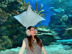 -海合安武汉极地海洋公园