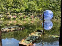 -深圳仙湖植物园