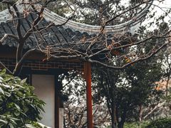 -秋霞圃