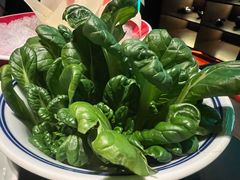 幼苗笨菠菜-大隐·成都火锅Bistro(合生麒麟新天地店)