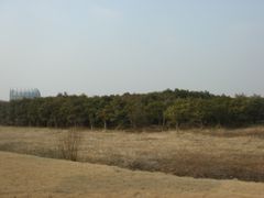 -东华大学(松江校区)