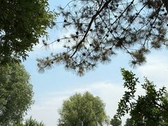 -汉长安城未央宫国家考古遗址公园