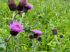 -萍乡武功山风景名胜区