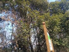 -宝界山林公园