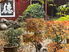 -长春观