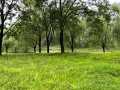 -承德避暑山庄景区