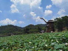 -红山村