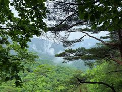 -五女峰国家森林公园