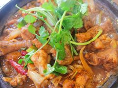 鸡鸡蛙蛙中煲-川香煲(茅台路店)