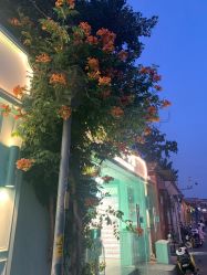 -青稚护手霜QINGZHI