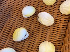 -椰吉满•鲜椰饮品(侨港黑金冠好店)