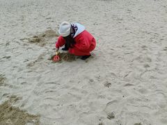 -柳湖沙月沙滩公园